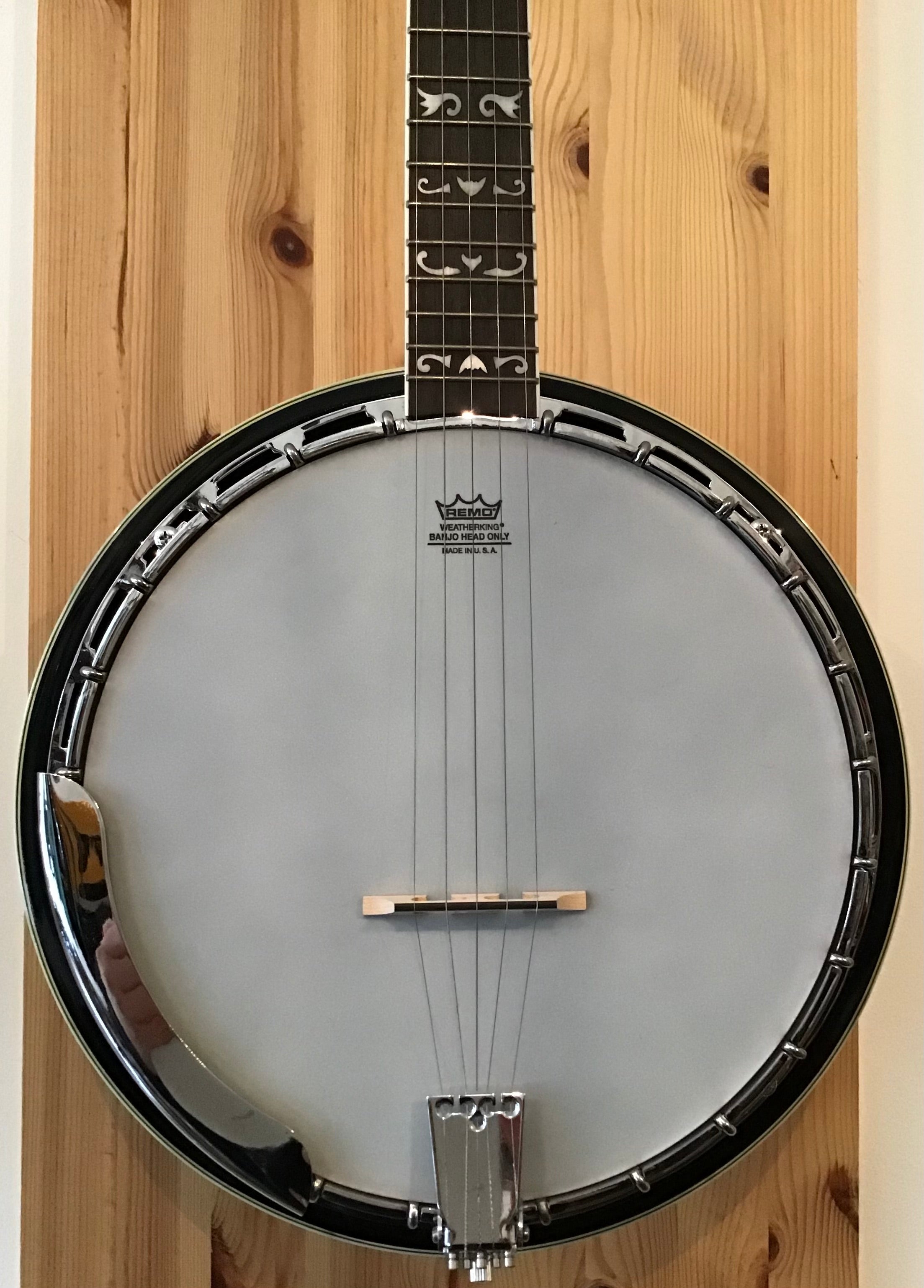 Fender FB55 G Banjo w Hard Case S/H (c) – Listers Guitars