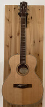 Load image into Gallery viewer, Fender Paramount PM-TE STD Travel Electro Acoustic w Hard Case S/H (c)