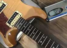 Load image into Gallery viewer, PRS SE Custom 22 Semi Hollow w Gig Bag MIK 2008 S/H