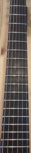 Load image into Gallery viewer, Washburn WI-65 PRO Electric MIK 2006 S/H (c)

