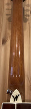 Load image into Gallery viewer, Washburn Apprentice Series AG70CE Electro Acoustic
