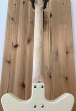 Load image into Gallery viewer, Danelectro The Stock 59
