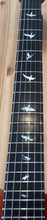 Load image into Gallery viewer, Deacon Custom Made Electric w Hard Case S/H (c)
