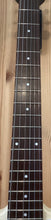 Load image into Gallery viewer, Danelectro The Stock 59
