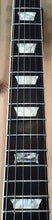 Load image into Gallery viewer, Gibson 120th Anniversary Les Paul Std w Hard Case S/H (c)
